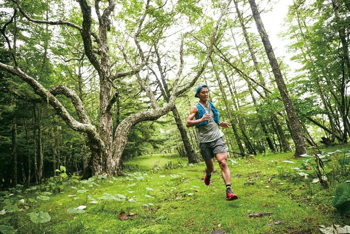 目が輝く神秘的な森 Kono 電子雜誌 目が輝く神秘的な森 Kono 電子雜誌
