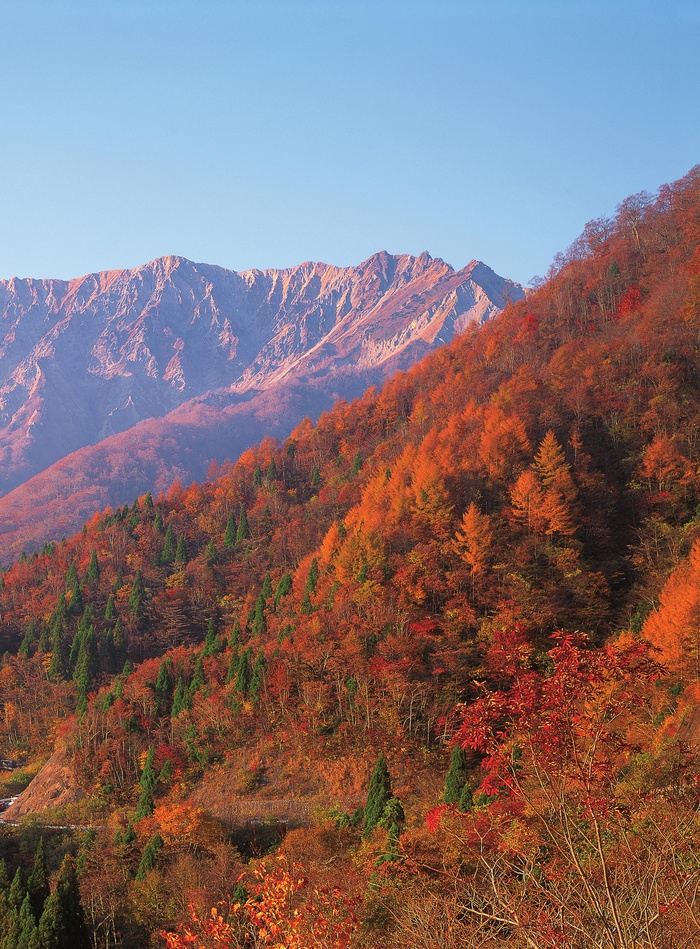 紅葉の鉄板ルート 西日本編 大山 蒜山 Kono 電子雜誌