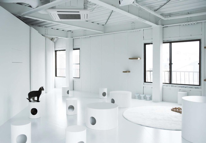 Meetpoint With Cats アートな猫カフェが提案する 動物との新しい出会い方 Kono 電子雜誌 Meetpoint With Cats アートな猫カフェが提案する 動物との新しい出会い方 Kono 電子雜誌