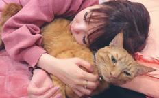 中川翔子のねこlife マミタス ランド 第5回 Kono 電子雜誌 中川翔子のねこlife マミタス ランド 第5回 Kono 電子雜誌