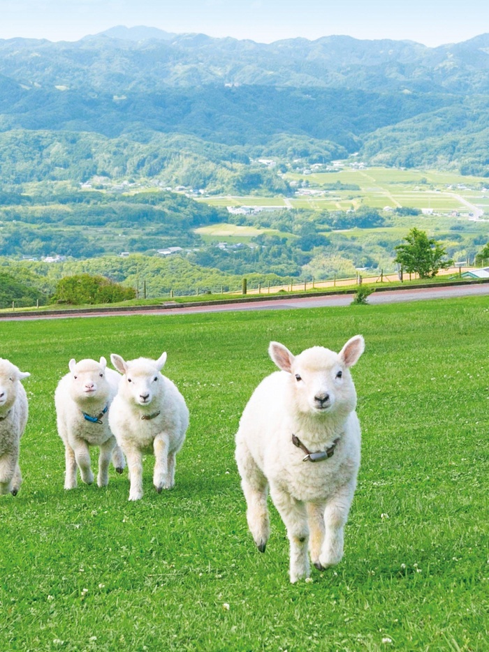 東京周邊夏の家族旅行卡通 Kono 電子雜誌 東京周邊夏の家族旅行卡通 Kono 電子雜誌